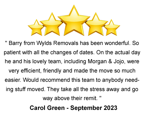 review-wylds removals1,cornish traders, piggled,4